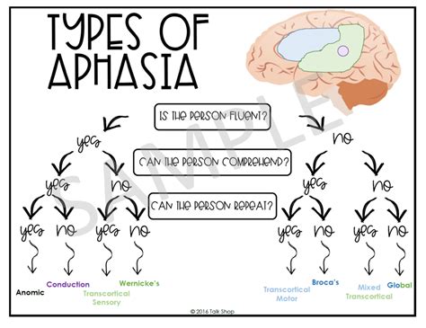 Image result for Types of Aphasia Examples