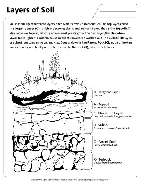 Layers Of Soil Coloring Pages [2025]