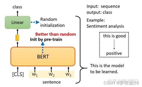 Bert GPT Evolution Tree 的图像结果