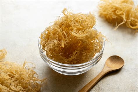 Sea Moss DIY: A Step-By-Step Guide On How To Make Sea Moss Gel At Home ...