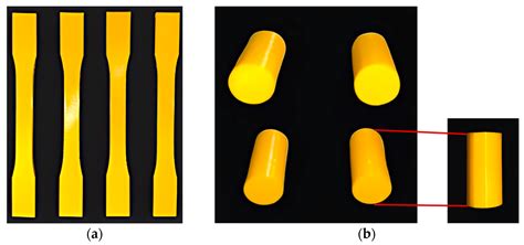 Viscoelastic Behavior of Cellular Biomaterials Based on Octet-Truss and ...