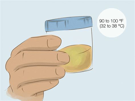 How to Keep Urine Hot for Drug Tests Without Compromise • strongeru.com