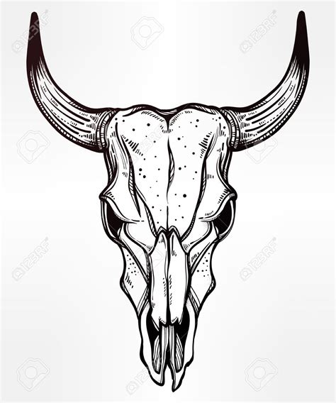 Longhorn Skull Drawing at GetDrawings | Free download