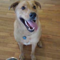 Padfolio Resume Portfolio Portfolio Folder Interview Portfolio Business ...