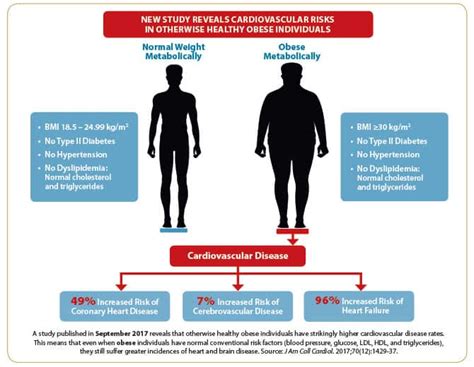 Does AMPK Reduce Abdominal Fat - Life Extension