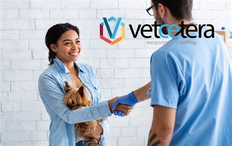 Image result for Chat Screen Java Vet Contacts