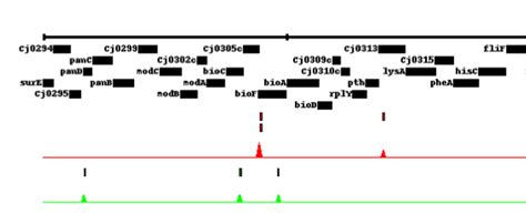 Image result for Variation Graph