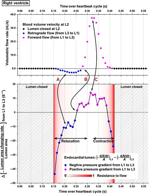 Image result for Gradient Resistance