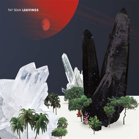 Australopithecus Song 的图像结果