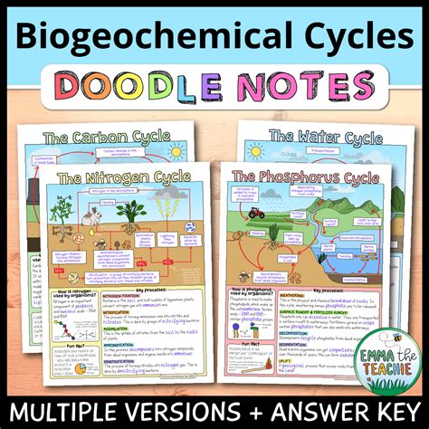 Copy of Nutrient Cycles - Name: Date: Period:______ Nutrient - Studocu - Worksheets Library