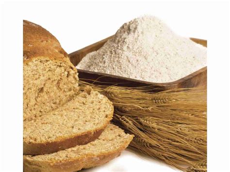 Sprouted Wheat Flour - Oak Hill Bulk Foods
