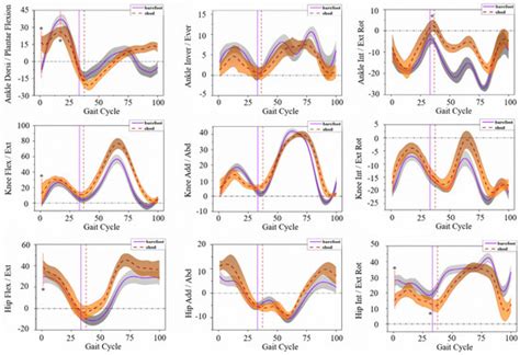 Applied Sciences | Special Issue : Biomechanical Spectrum of Human ...