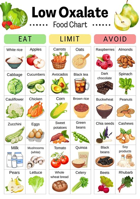 Low Oxalate Food Chart – What to Eat, Limit, and Avoid nel 2025