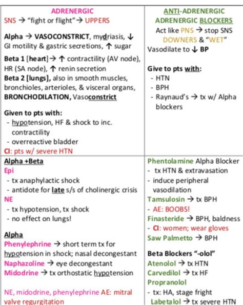 Adrenergic Vs Cholinergic Cheat Sheet - Etsy