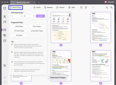 How to Rotate PDF Files on Mac: A Beginner's Tutorial | UPDF