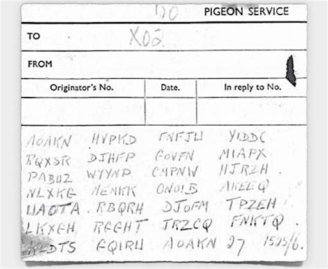 Image result for Pigeon Cipher Code