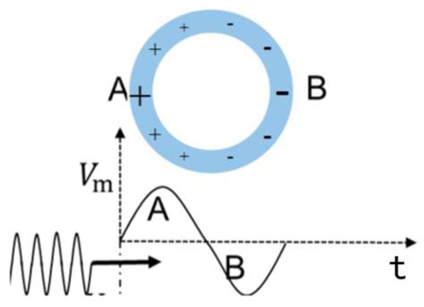 Simulation and Analysis of Microring Electric Field Sensor Based on a ...