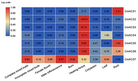 Genome-Wide Characterization and Functional Validation of the ACS Gene ...
