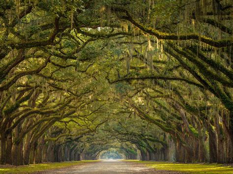 Image result for GA Insurance License