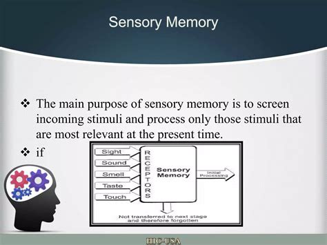 The Information Processing Model Three Memory Systems 的图像结果