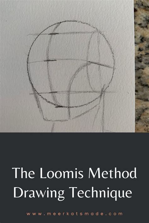Image result for Loomis Method of Drawing