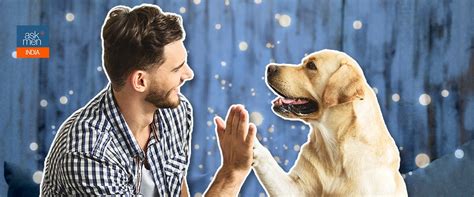 The Brightside Of Being At Home With Your Dog During Lockdown - Lifestyle