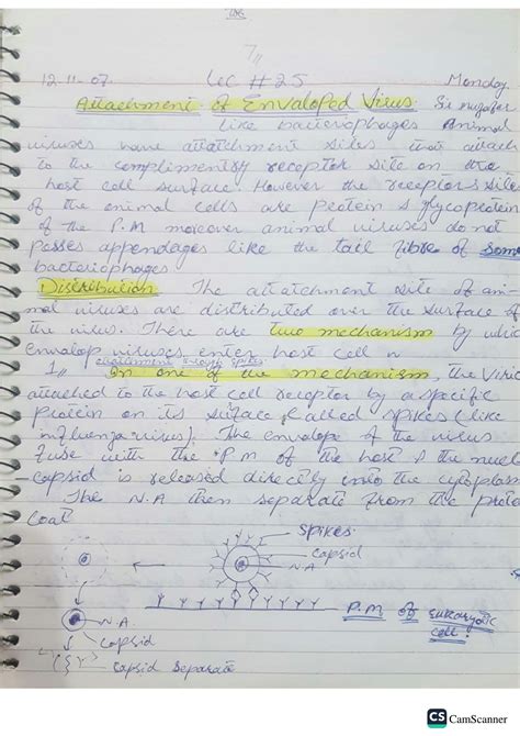 SOLUTION: Attachment of enveloped virus attachment of naked virus ...