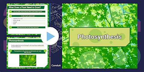 Photosynthesis: PowerPoint for Third Level