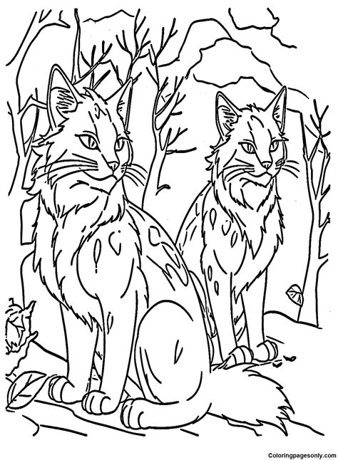 Warrior Cats Coloring Pages