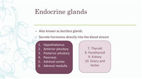 Basic concepts of endocrine system explained | PPT
