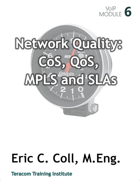 Network Quality: CoS, QoS, MPLS and SLAs (VoIP Modules Book 6) eBook ...