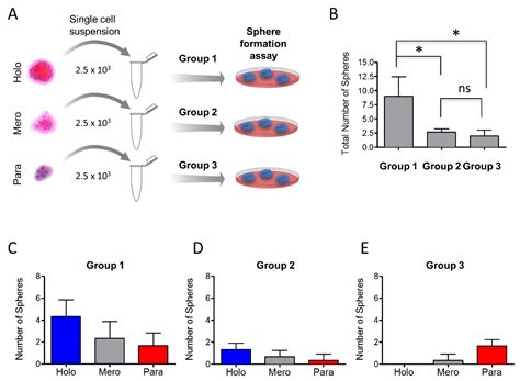Profiling the Behavior of Distinct Populations of Head and Neck Cancer ...