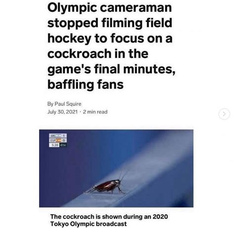 Cockroach Meme 的图像结果