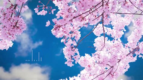 Yoruichi Shihōin Evening Garden - Animated Wallpaper — Wallpaper Engine ...