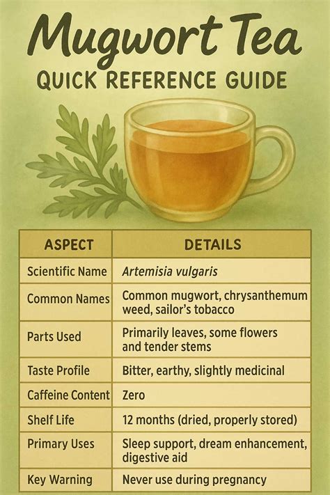 Mugwort Tea: The Ultimate Guide to Brewing, Benefits & Safe Use