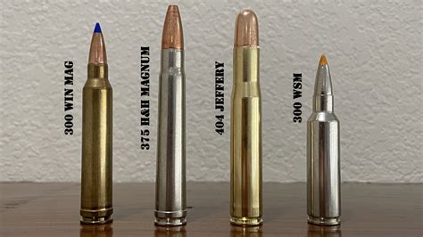 300 WSM vs 300 Win Mag: Ultimate 30 Cal Magnum Comparison