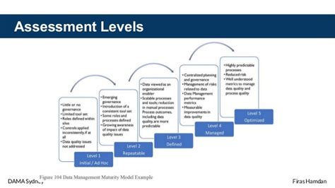 Data Management Maturity Assessment 的图像结果