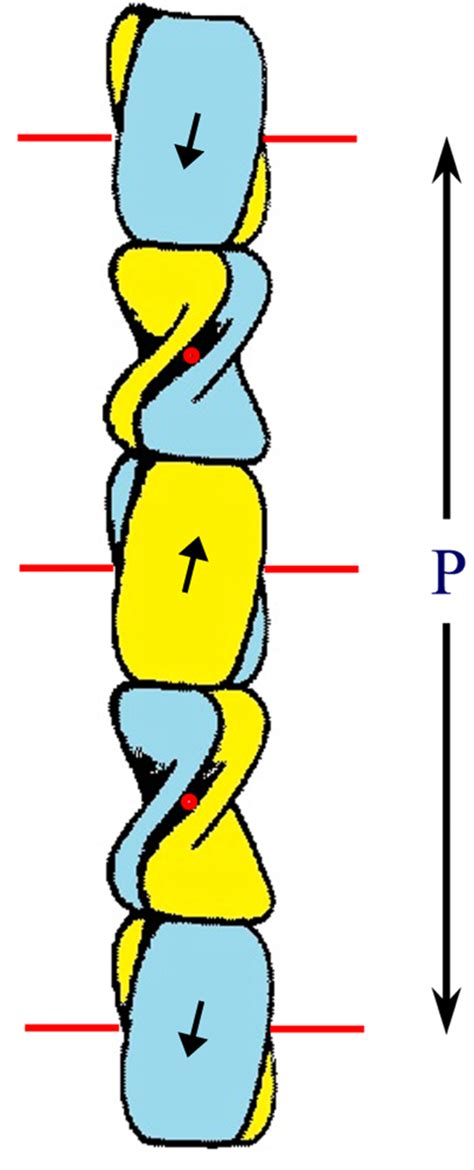 Structures of the ß-Keratin Filaments and Keratin Intermediate ...
