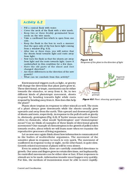 Image result for Class 10 Chapter 6 Science