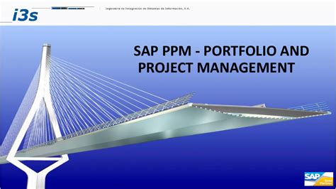 Image result for PPM SAP Structure Portfolio