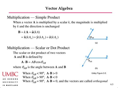 Vector Algebra Basics 的图像结果