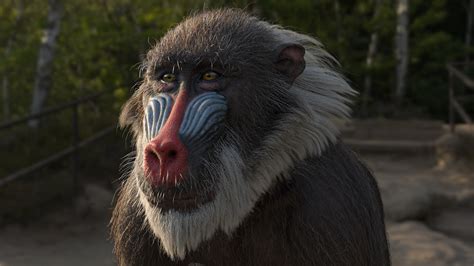 Baboon Face Lion King