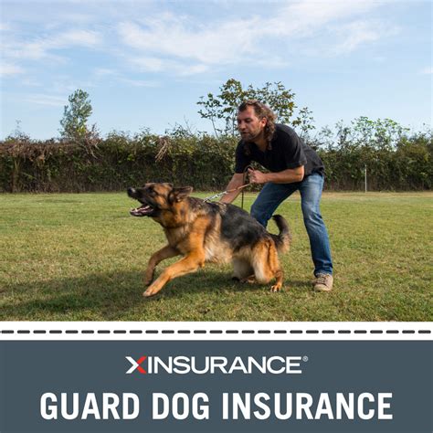 Liability Insurance for Guard Dogs - XINSURANCE