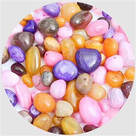 Buy Onex Pebbles (Mix Color, Medium)- 1 kg online from Nurserylive at ...