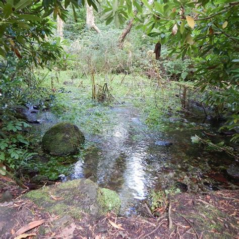 CLOGHEREEN BLUE POOL WALK (2024) All You Need to Know BEFORE You Go ...