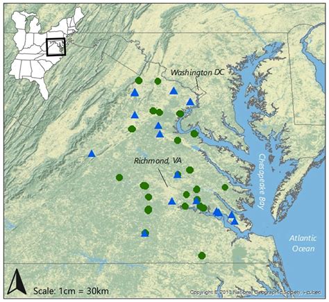 Impacts of Invasive Plants on Native Vegetation Communities in Wetland ...