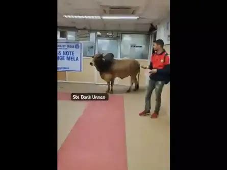 Announcements Updates: Compliances-Certificate under Reg. 74 (5) of ...