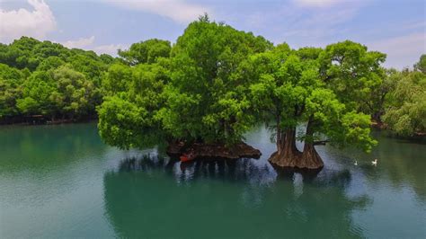 Lago De Camécuaro - Michoacán, El Alma De México | Visit Michoacan