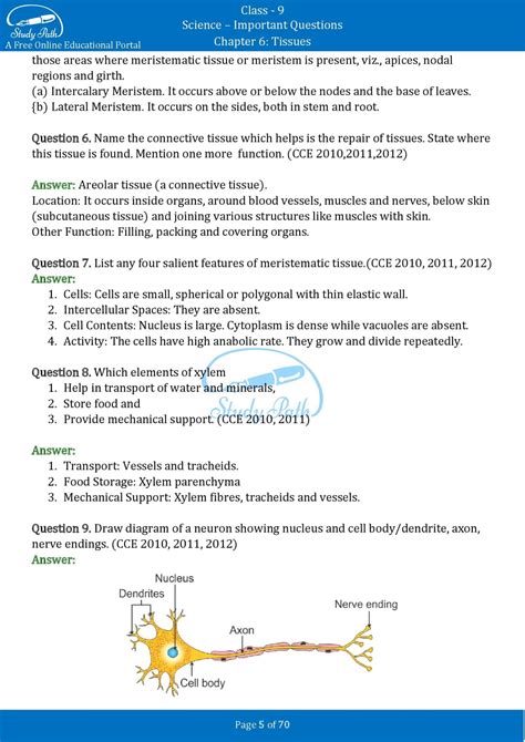 Image result for Ninth Class Science Lesson 6 Tissues Question Answer In Text