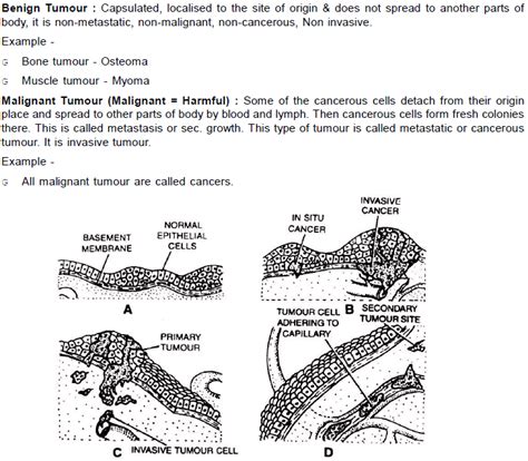 Immunity and Disease, Class 12, Biology (AIPMT) Chapter Notes PDF Download